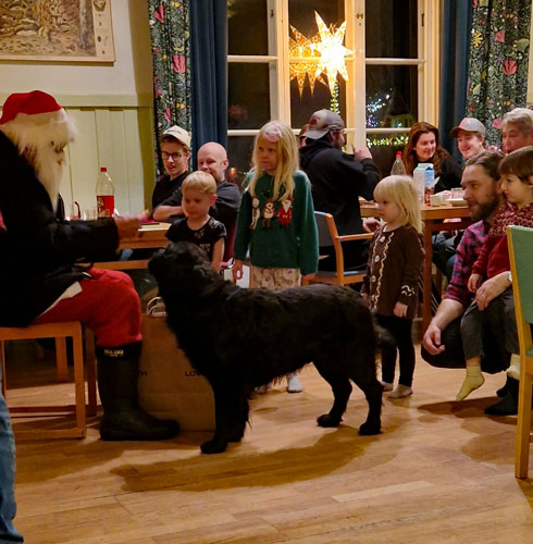 Julgröt i Hörneå 2025